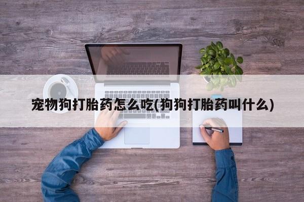 堕胎药使用宠物狗打胎药怎么吃(狗狗打胎药叫什么)