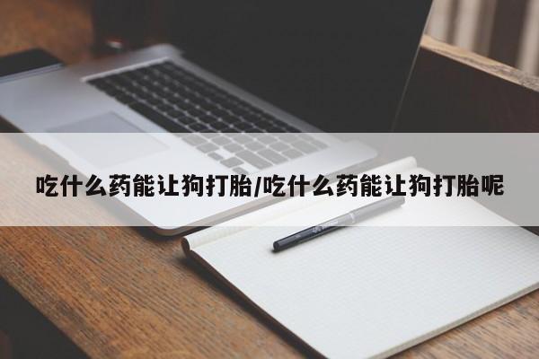 堕胎药使用吃什么药能让狗打胎/吃什么药能让狗打胎呢
