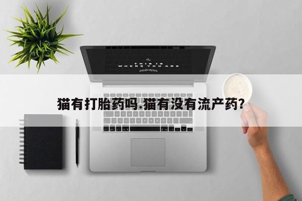 堕胎药使用猫有打胎药吗.猫有没有流产药？